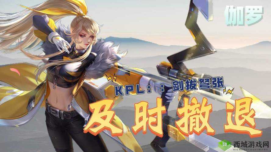 撑起伽罗的腿疯狂输出视频网站精彩内容大揭秘