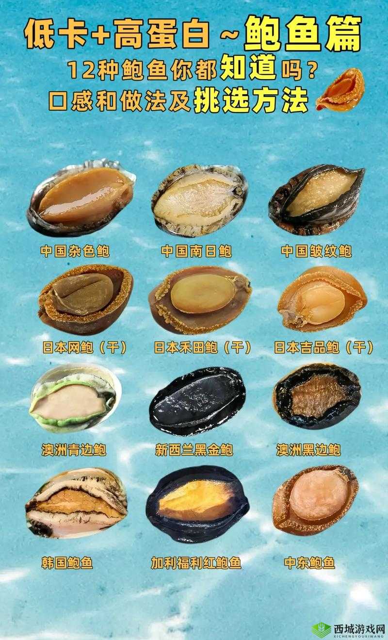 除了鲜鲍，大多数鲍鱼都很便宜，一般人都吃得起